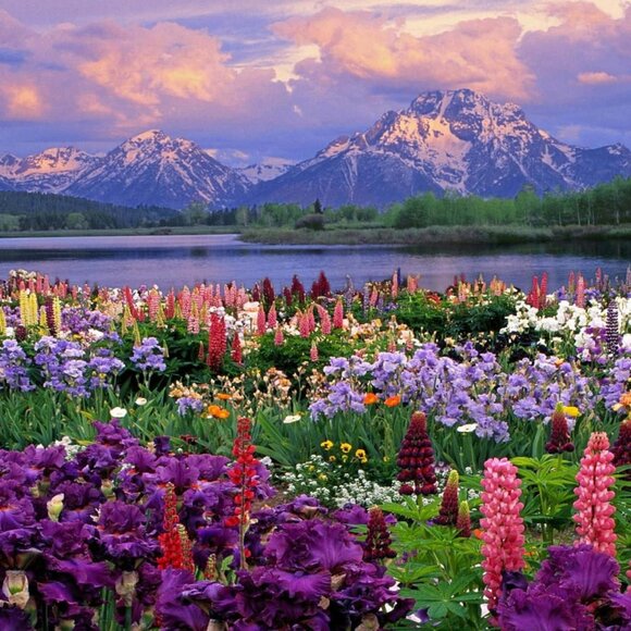 ✅ NEW POSHERS - 10% OFF 1ST PURCHASE ✅ - Picture 3 of 16